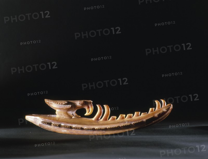 A chevron pendant made from a sperm whale tooth, with a carved parrot on the top