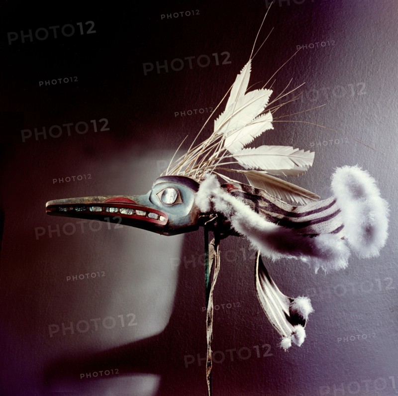 Mask in the form of a mosquito