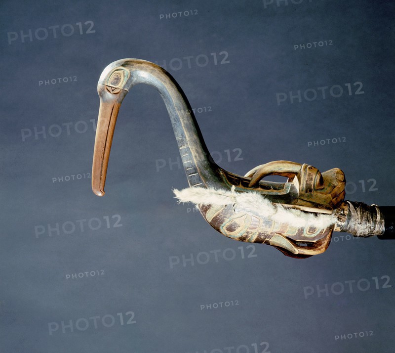 Shamans rattle in the form of a oyster catcher, with a horned head on its back
