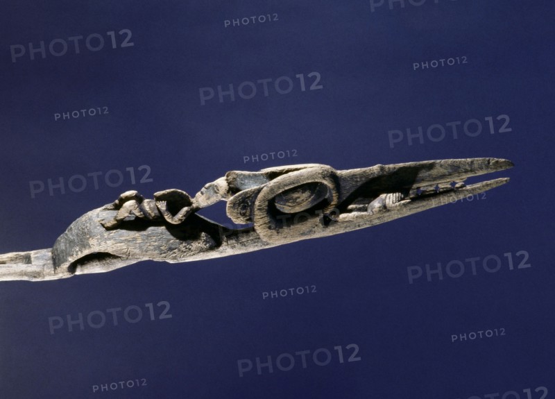 Wand carved to represent a crane with the witch spirit on the beak