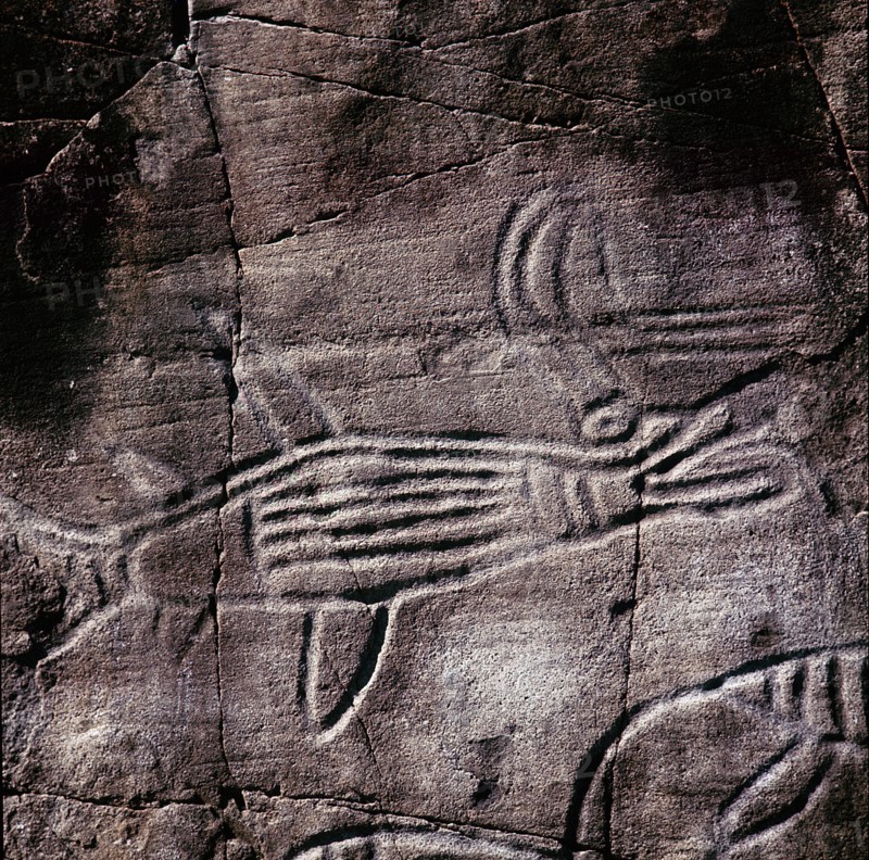 Petroglyphs