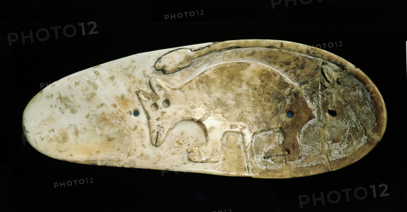Sandal sole gorget decorated in relief with a strange animal with the umbilical cord still attached