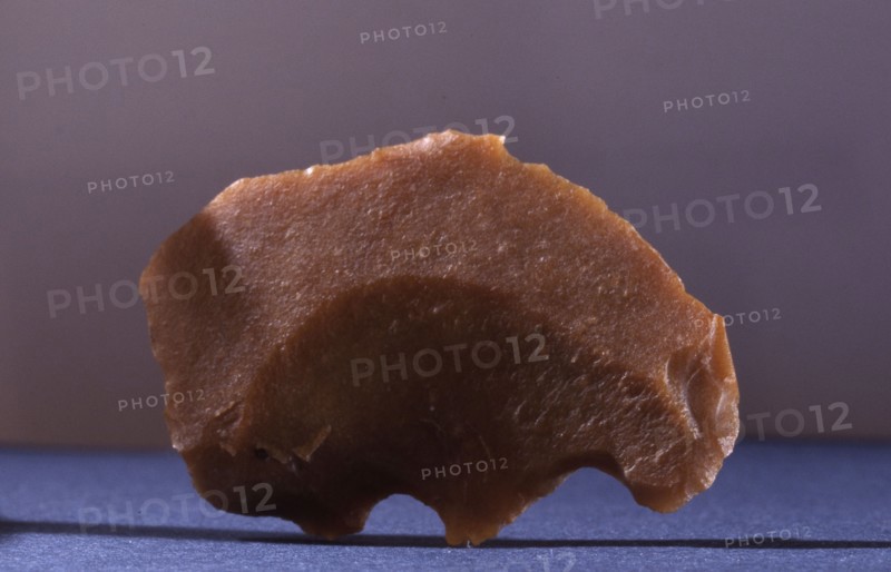 Flint, may have been modified to suggest the form of a bear
