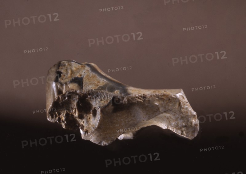Flint, may have been modified to suggest the form of a bison