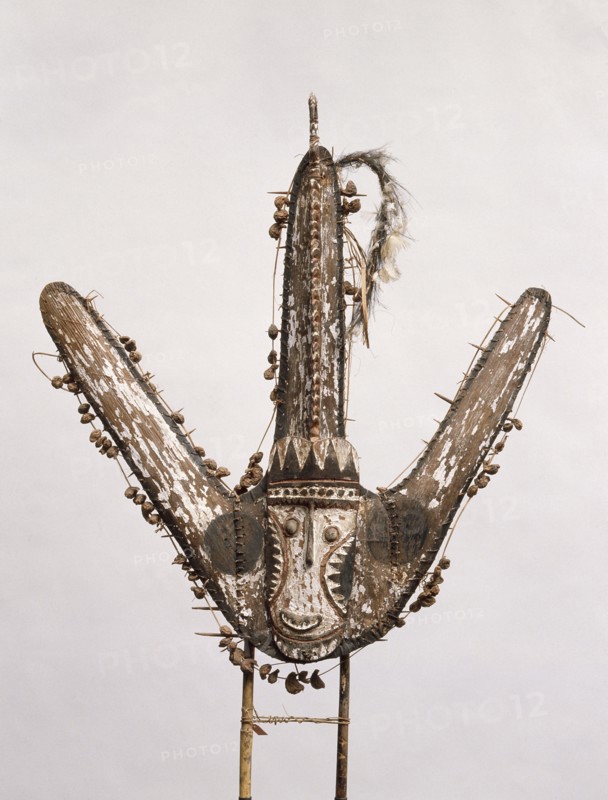 Canoe shield from a Swagup area war canoe, used on head hunting raids on neighbouring villages