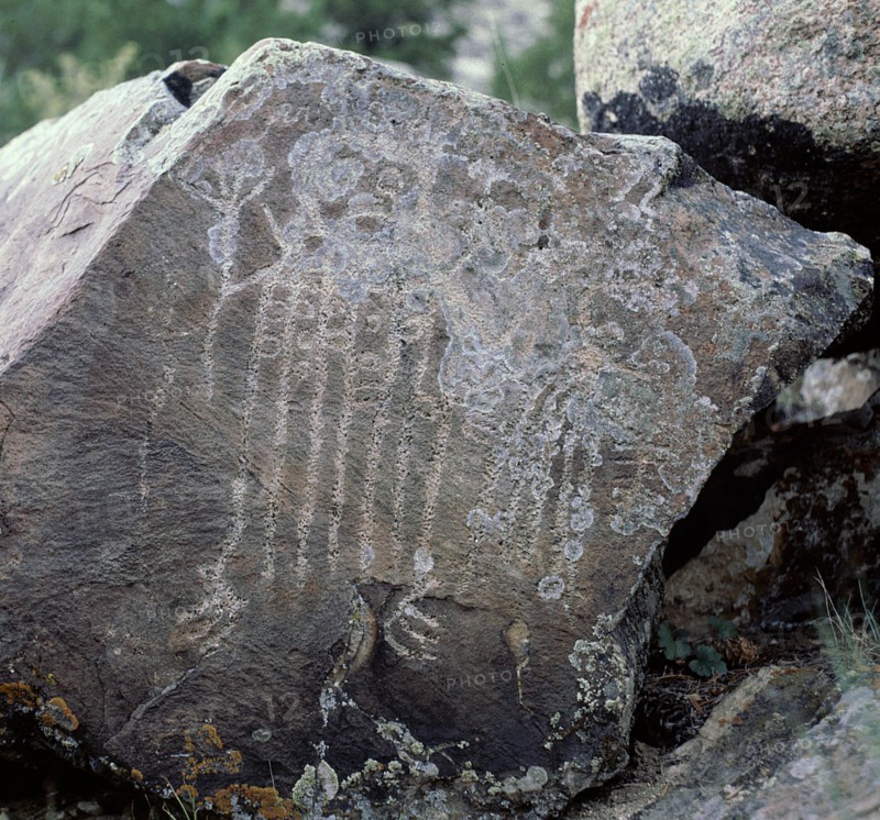Rock engraving at Wind River Basin, Wyoming