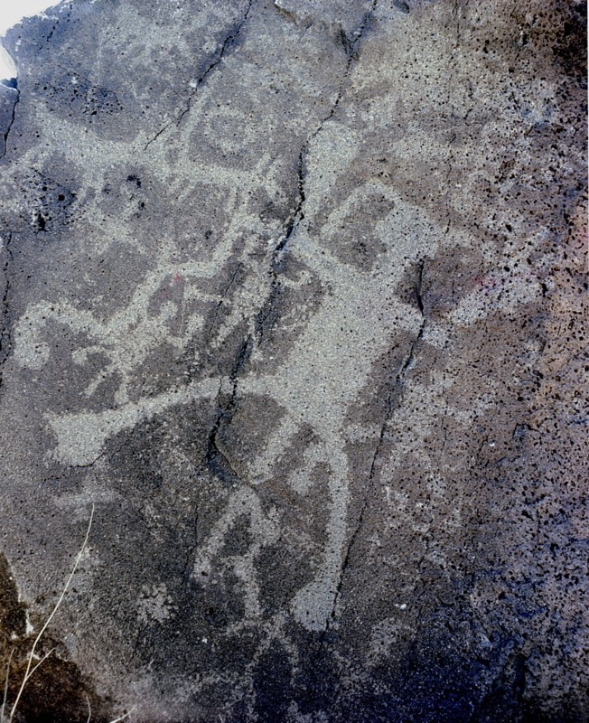 The Rio Grande petroglyphs