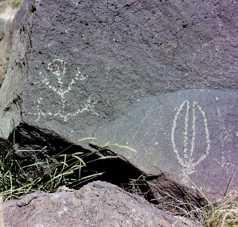 The Rio Grande petroglyphs