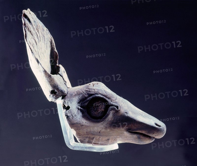 Deer head ceremonial effigy