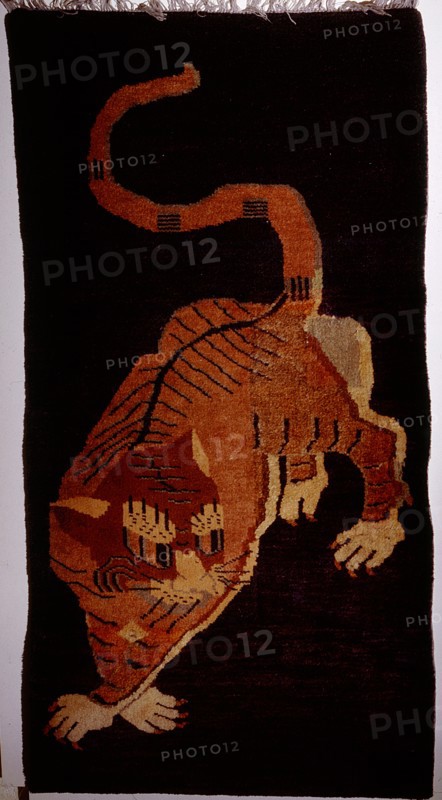 A tiger rug