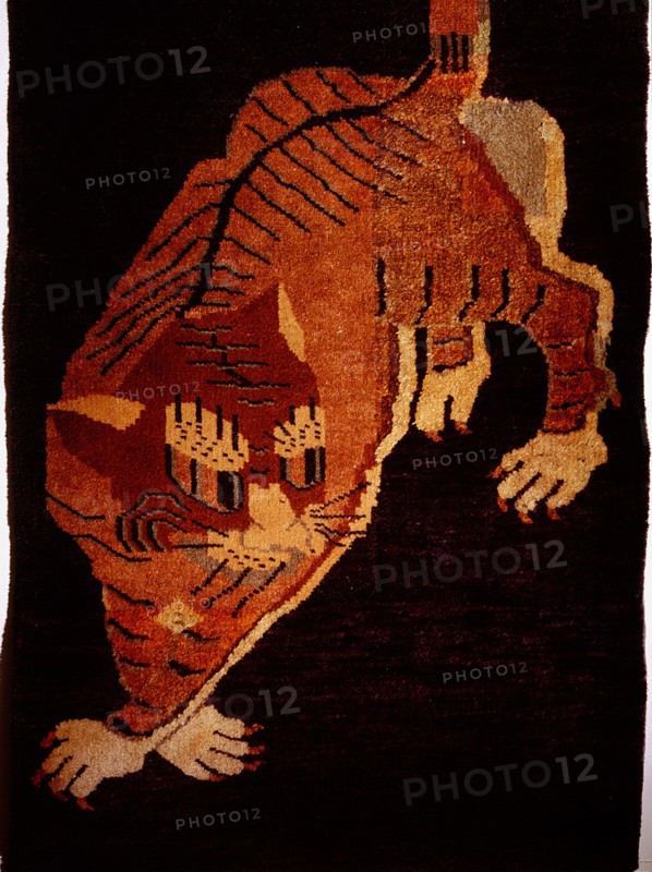 A tiger rug