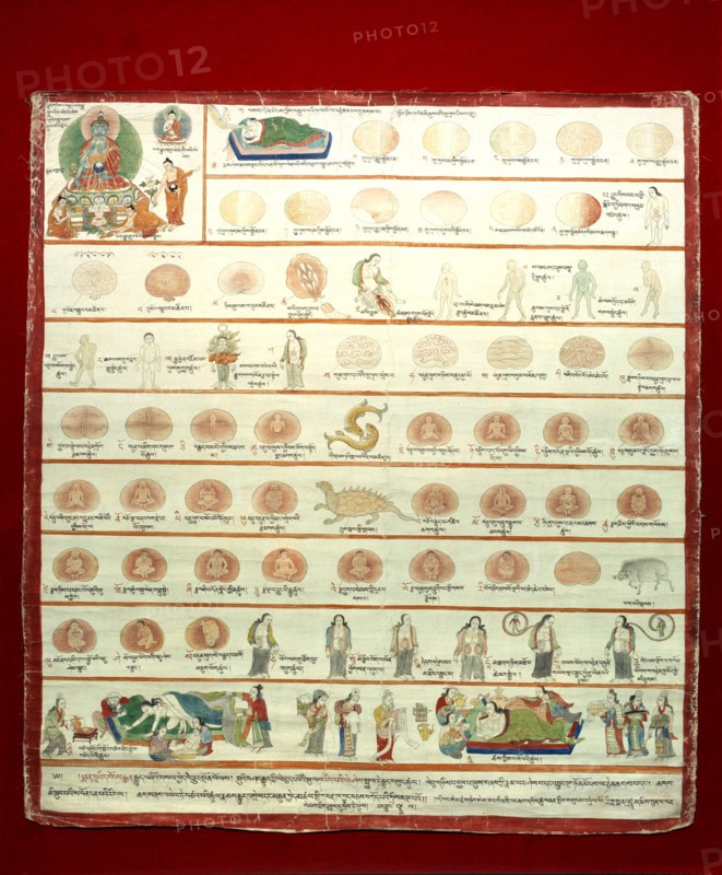 A medical thangka from a version of the commentary on the ancient Four Tantras, the fundamental treatise of Tibetan medicine