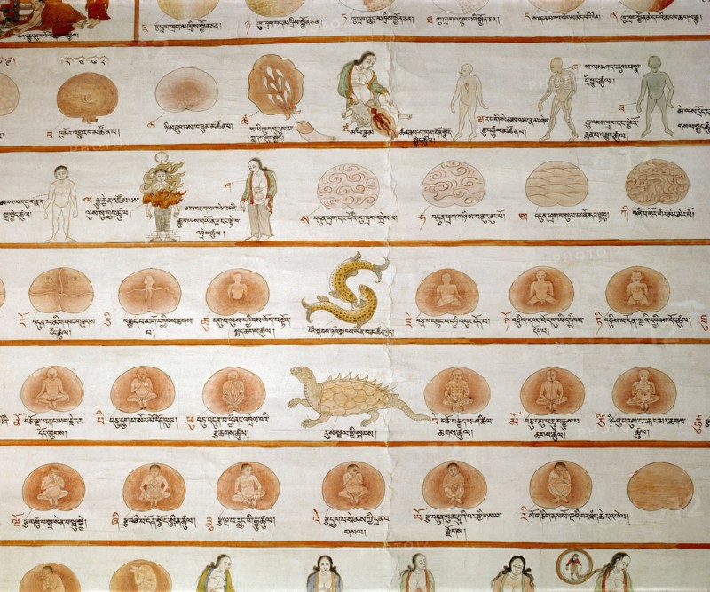 A detail of a medical thangka from a version of the commentary on the ancient Four Tantras, the fundamental treatise of Tibetan medicine