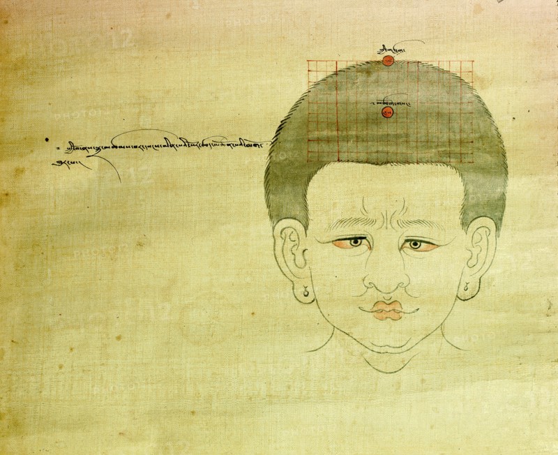 A medical thangka from a version of the commentary on the ancient Four Tantras, the fundamental treatise of Tibetan medicine