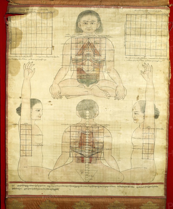A medical thangka from a version of the commentary on the ancient Four Tantras, the fundamental treatise of Tibetan medicine