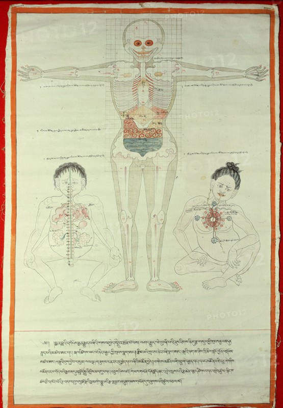 A medical thangka from a version of the commentary on the ancient Four Tantras, the fundamental treatise of Tibetan medicine