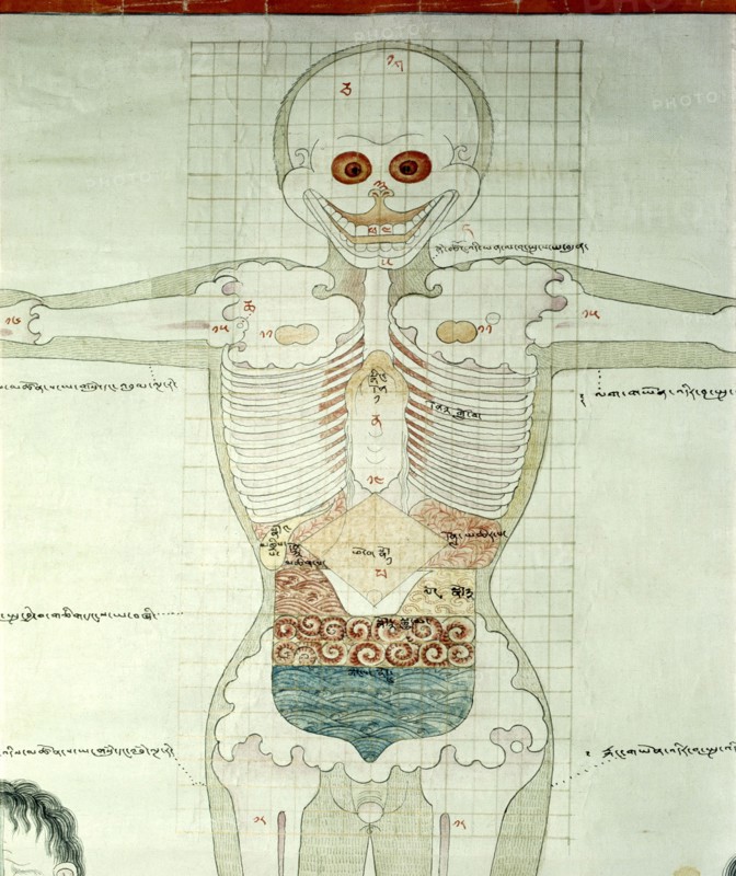 Detail of a medical thangka from a version of the commentary on the ancient Four Tantras, the fundamental treatise of Tibetan medicine