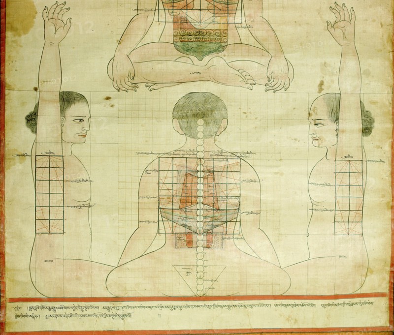 Detail of a medical thangka from a version of the commentary on the ancient Four Tantras, the fundamental treatise of Tibetan medicine