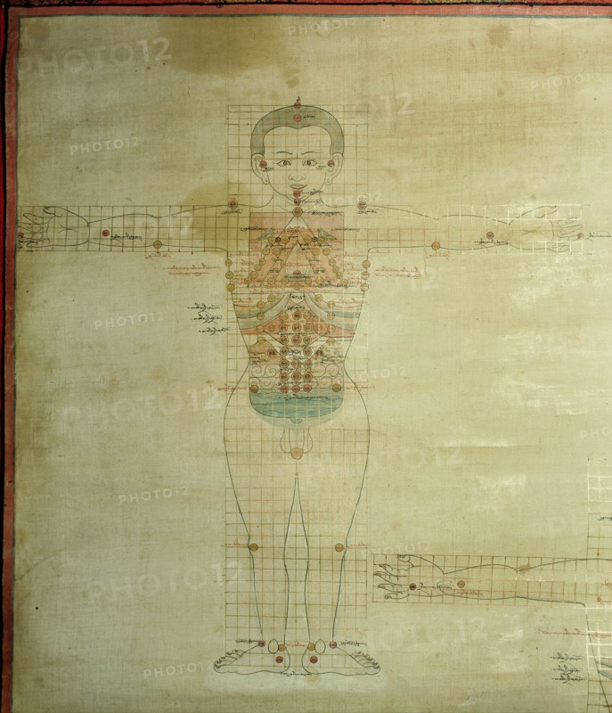 Detail of a medical thangka from a version of the commentary on the ancient Four Tantras, the fundamental treatise of Tibetan medicine