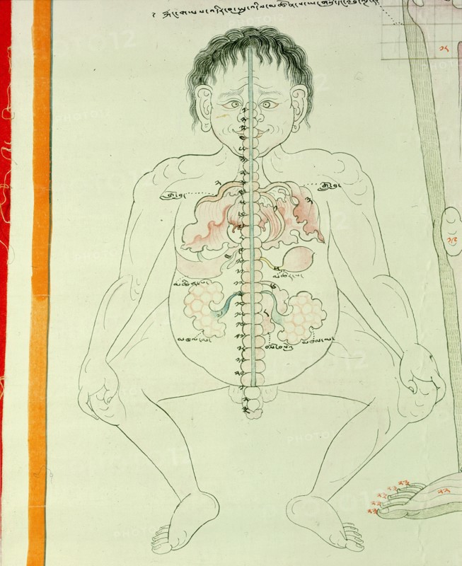 Detail of a medical thangka from a version of the commentary on the ancient Four Tantras, the fundamental treatise of Tibetan medicine