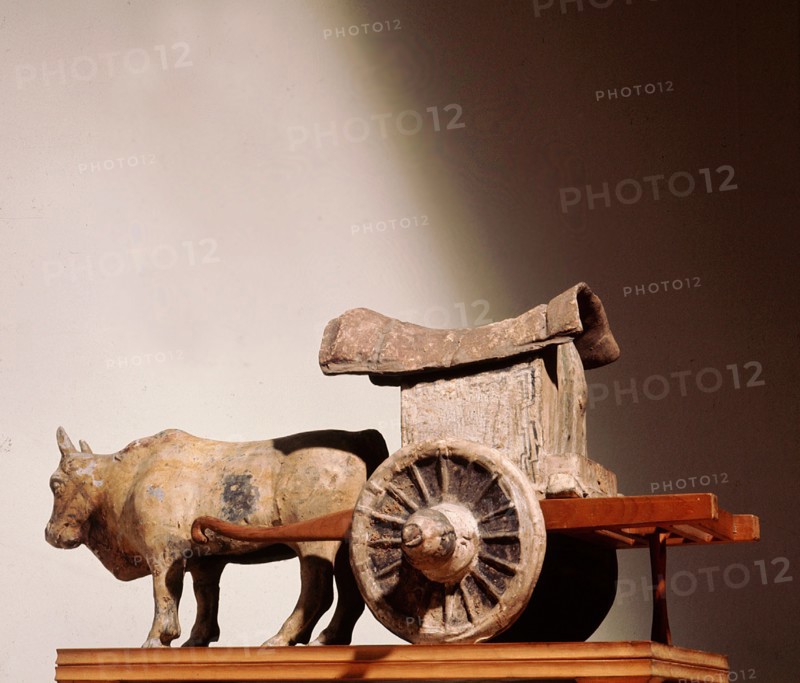 Model bullock and cart