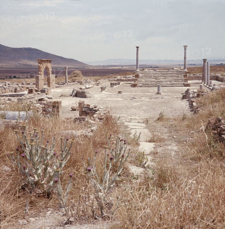 The Roman ruins at Thuburba Majus