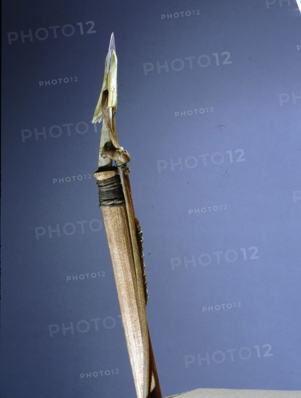 Walrus harpoon