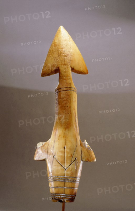 Walrus harpoon