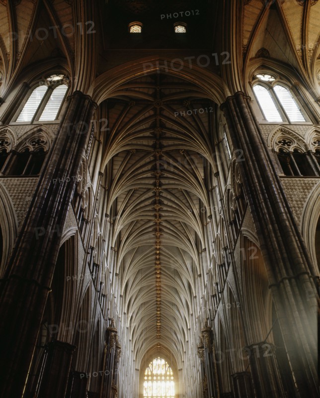 The richly ornamented Gothic vault of the nave towards the west