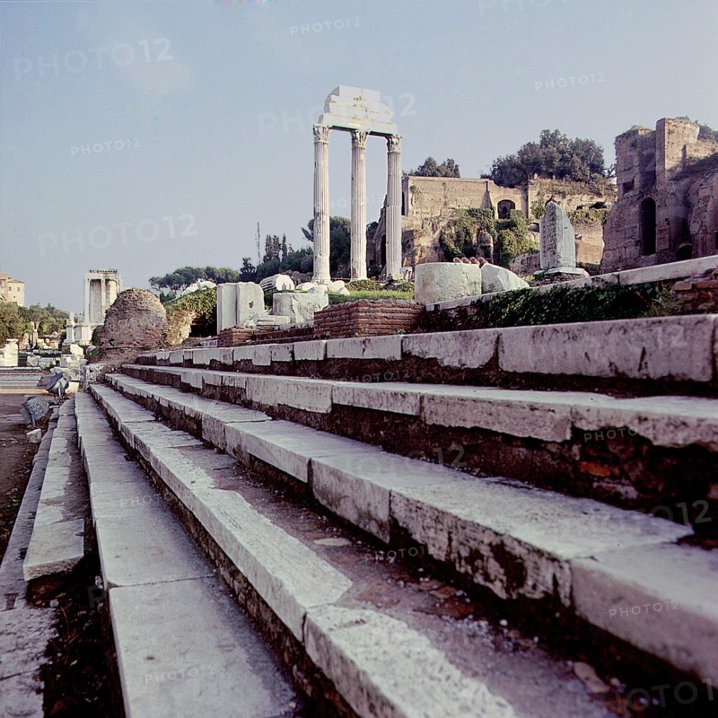 The Roman Forum