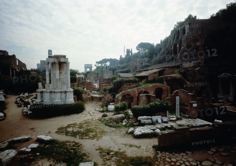 The Roman Forum