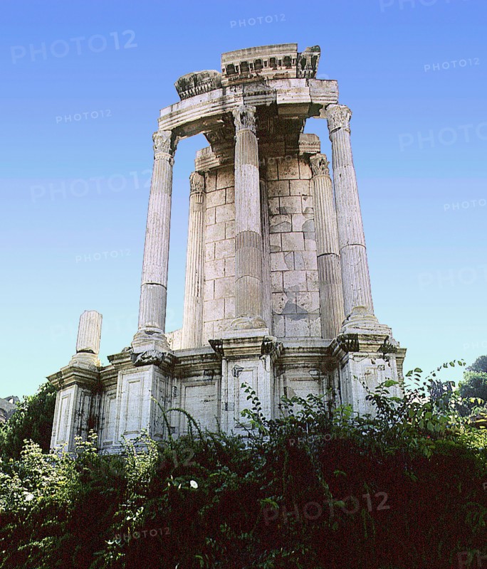 The Roman Forum