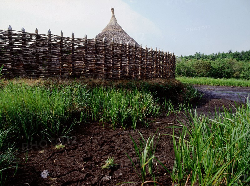 Replica crannog by the lake at Graggaunowen