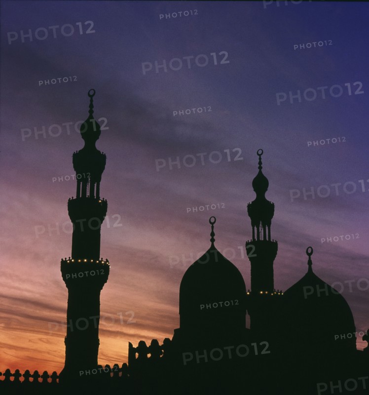 The domes and minarets of the Madrasa of Sultan Hassan and the Rifa'i Mosque