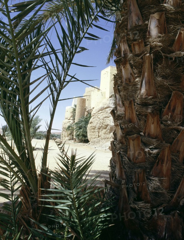 El Atteuf, founded in 1014 - the oldest of the Mzab valley cities