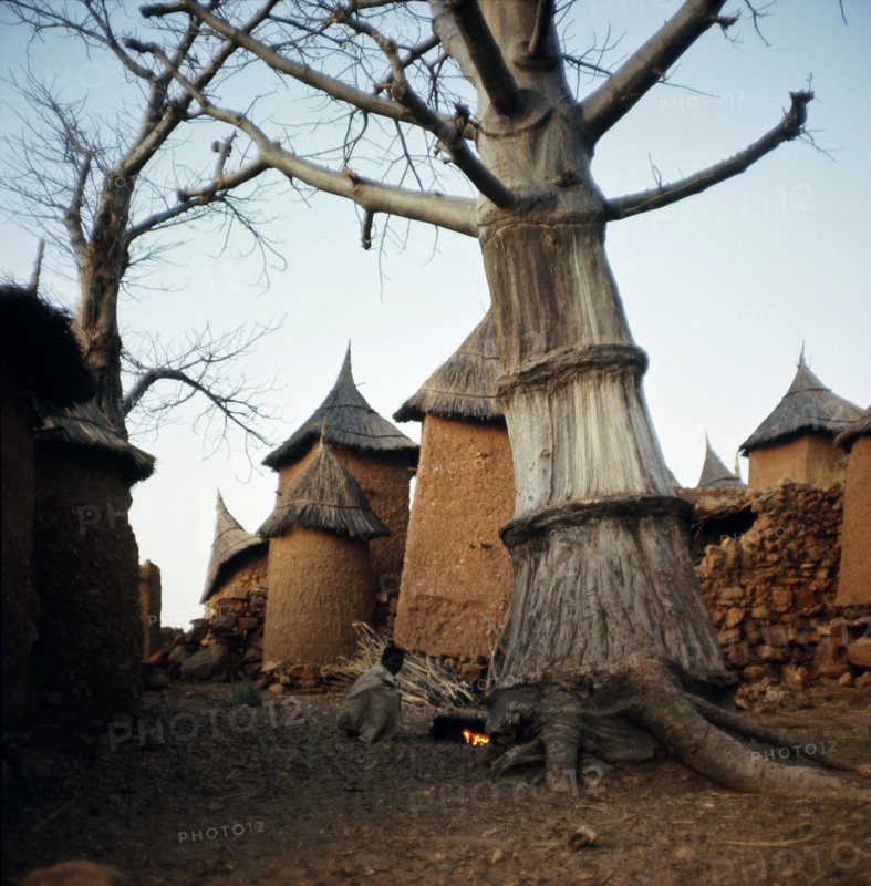 Thatched granaries in a Dogon village