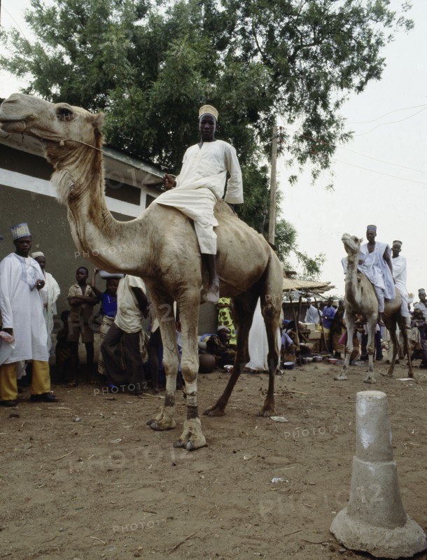 The market place at Sokoto, capital of one of the major Hausa-Fulani states on the edge of the Sahel, formerly a major entrepot for trans-Saharan trade and the kola nut trade with Ghana
