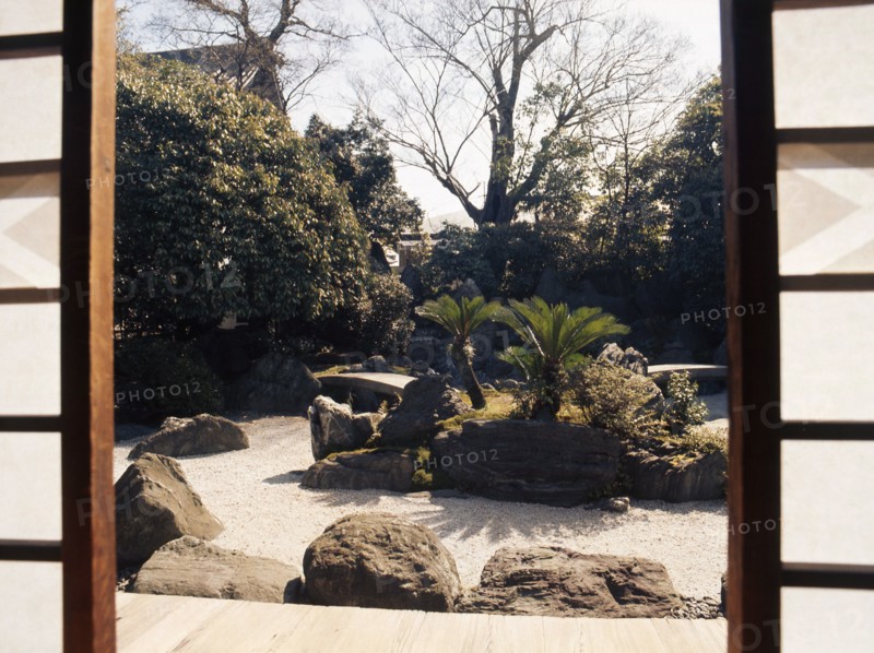 Palm grove in front of the waiting room to the formal tea house in the grounds of Katsura Imperial Villa