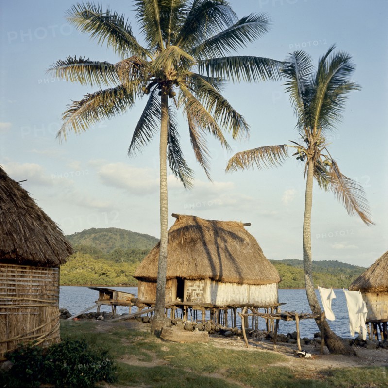 A thatched Fijian house