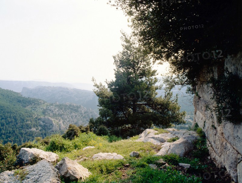 Eleutherai