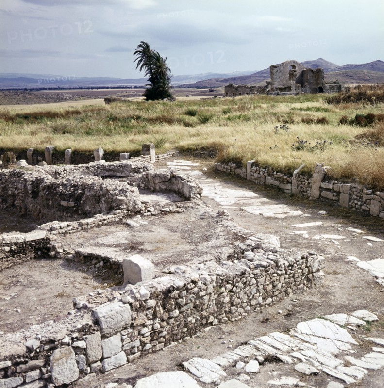 Bulla Regia