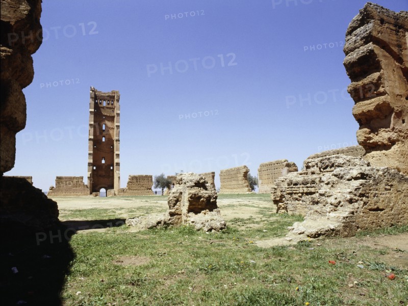 The minaret of the ruined mosque of al-Mansura