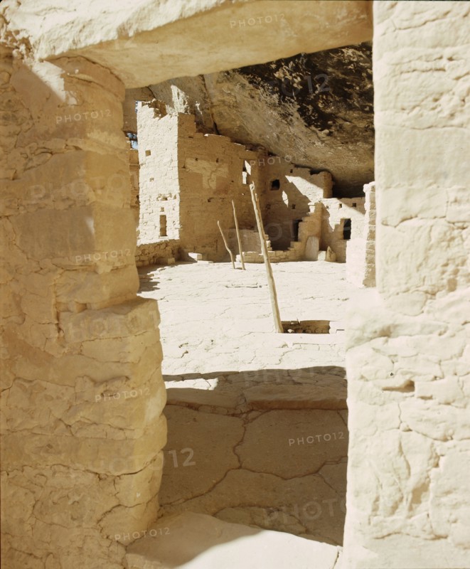 The Cliff Palace at Mesa Verde