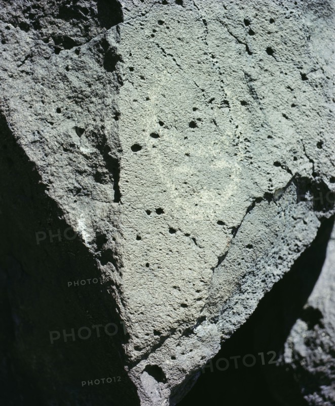 The Rio Grande petroglyphs