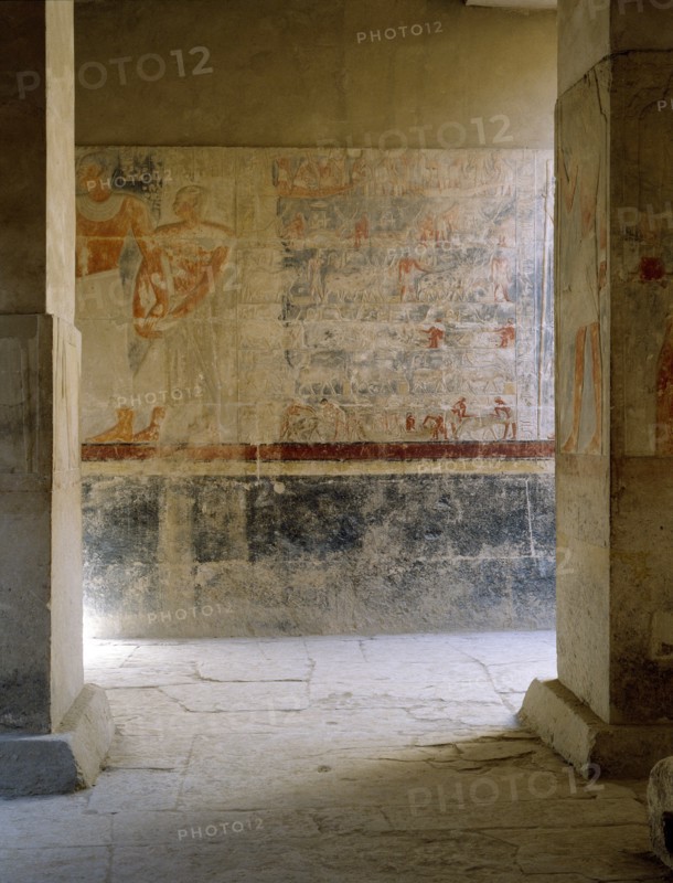 The mastaba of Mereruka