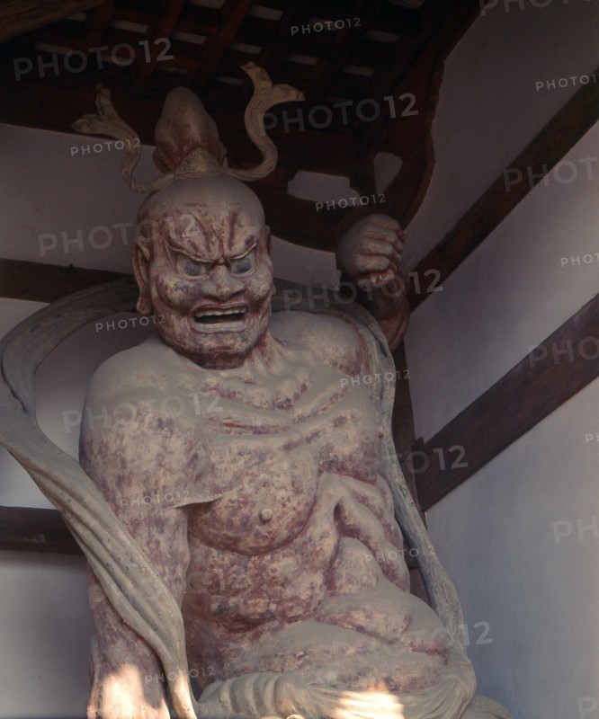 The Horyu temple complex