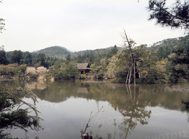 The Zen garden of the Ryoan-ji temple in Kyoto
