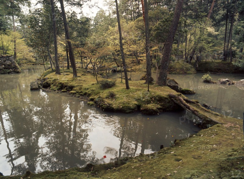 Garden of Saiho-ji, famous for its mosses