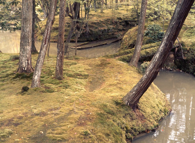The garden of Saiho-ji, famous for its mosses