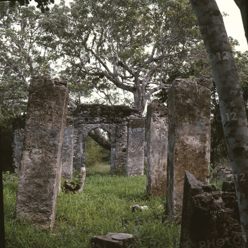 The ruins of Kunduchi, an East African coastal trading settlement built by Arab merchants in the 16th century